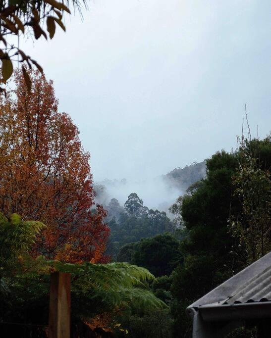 Harrys House Warburton - Peaceful Riverside Cottage In The Perfect Location Dış mekan fotoğraf