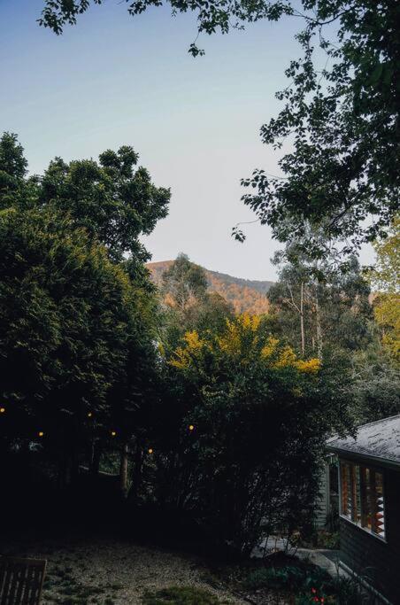 Harrys House Warburton - Peaceful Riverside Cottage In The Perfect Location Dış mekan fotoğraf